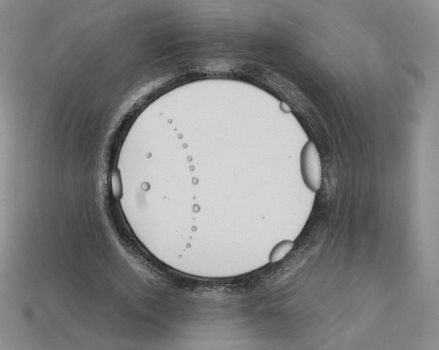 X0000112830728200910021222