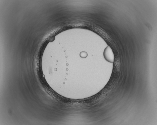 X0000112830732200910021222