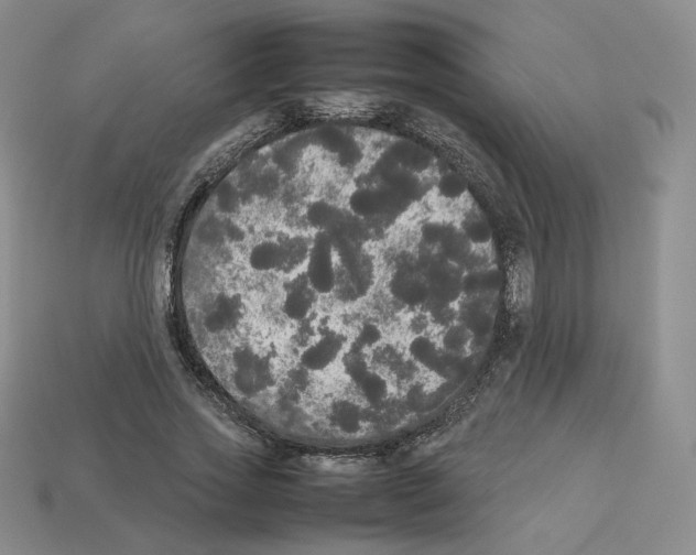 X0000112830733200910021222