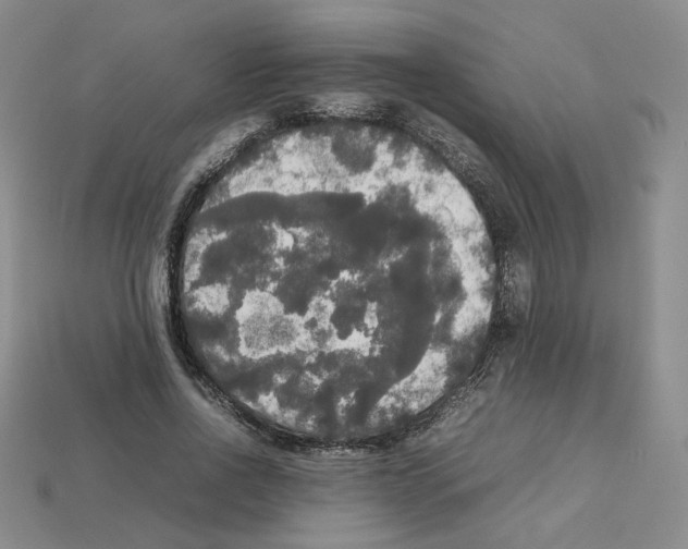 X0000112830734200910021222