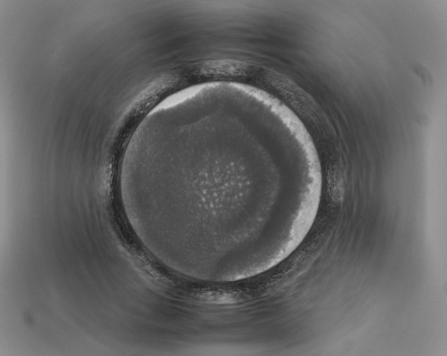 X0000112830735200910021222