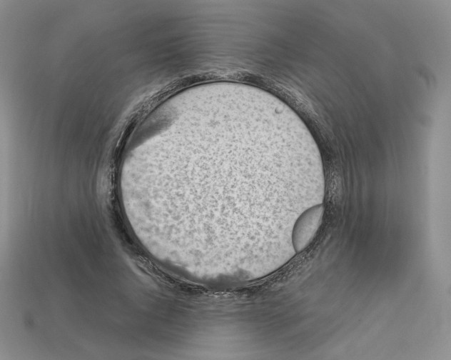 X0000112830736200910021222