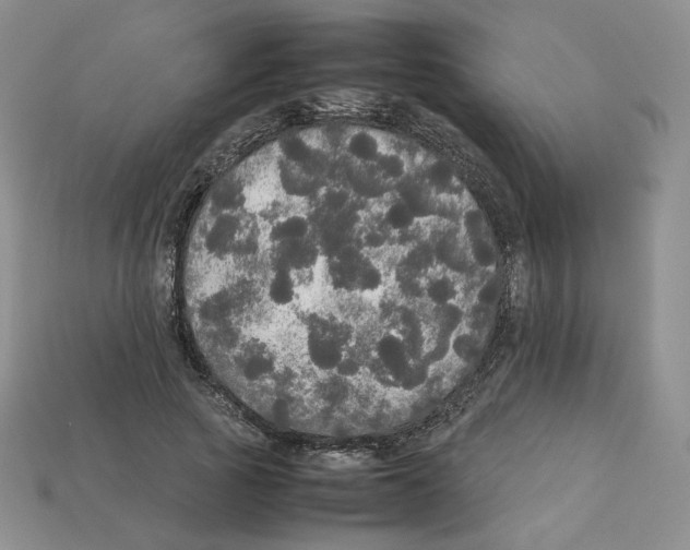 X0000112830737200910021222