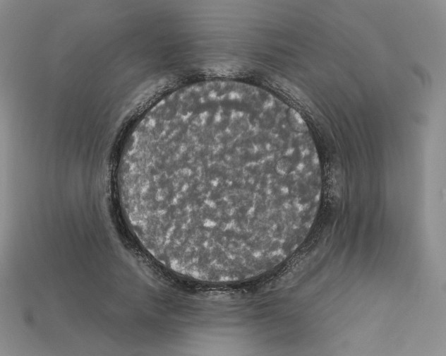 X0000112830738200910021222