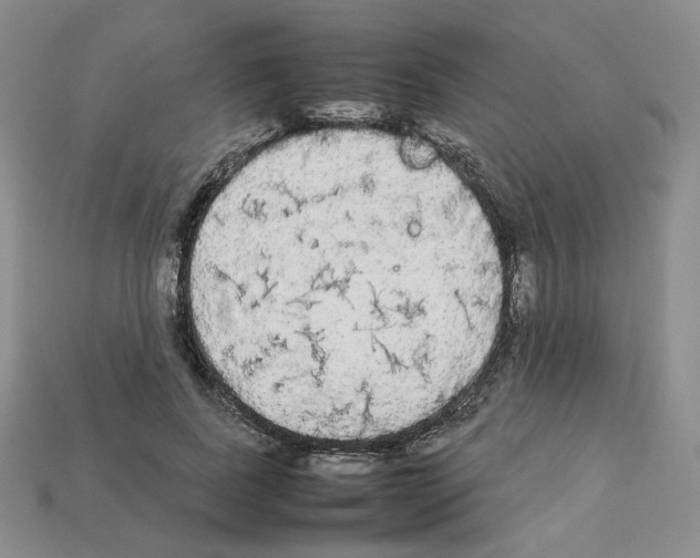 X0000112830739200910021222