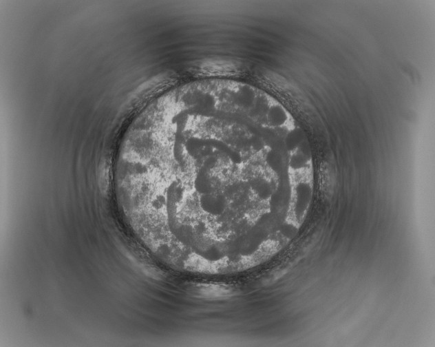 X0000112830741200910021222