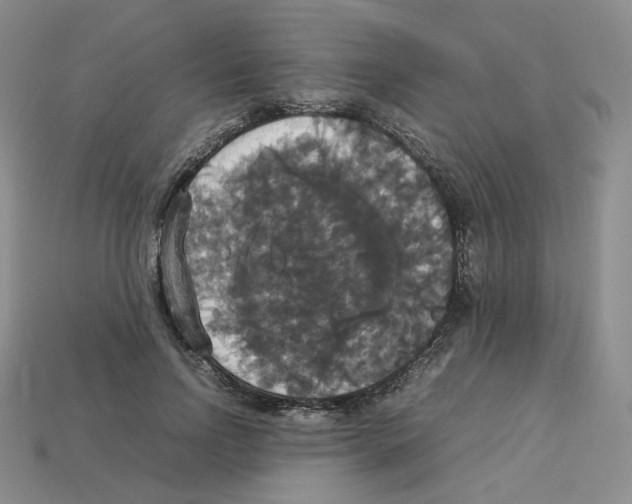 X0000112830742200910021222