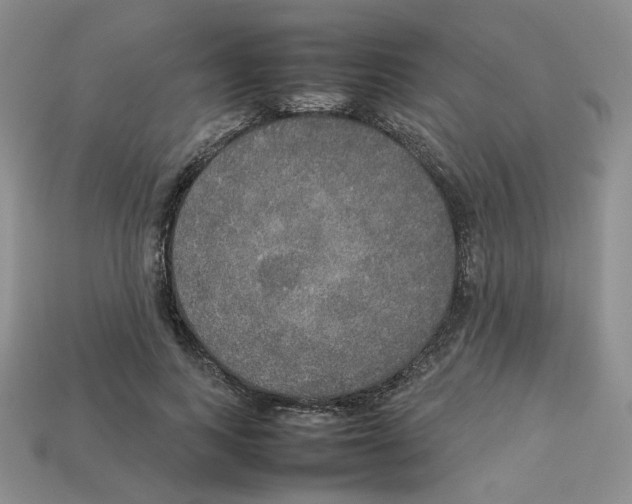 X0000112830743200910021222