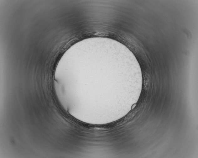 X0000112830748200910021222