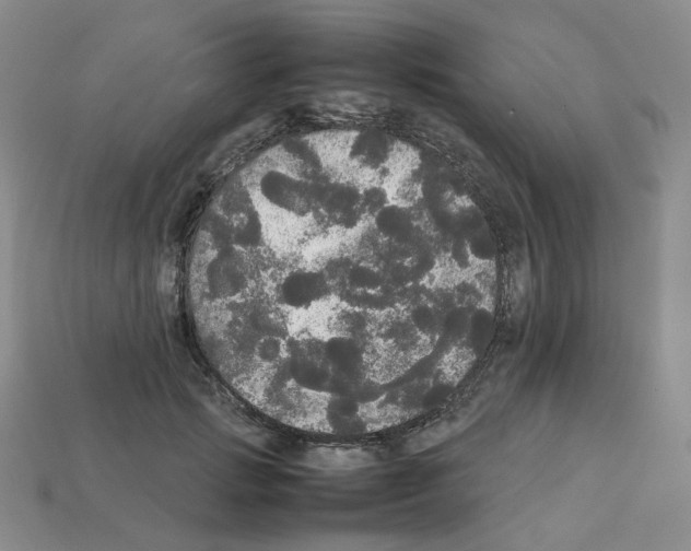 X0000112830749200910021222