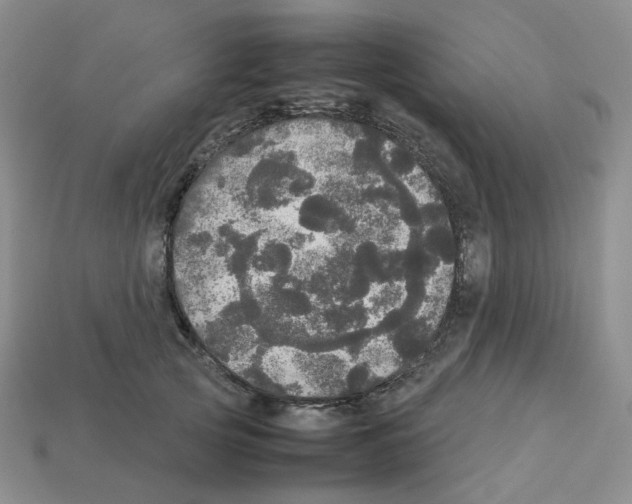 X0000112830753200910021222