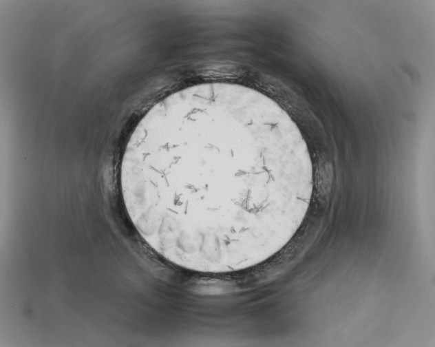 X0000112830755200910021222