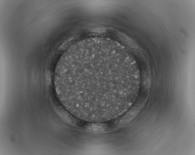 X0000112830758200910021222