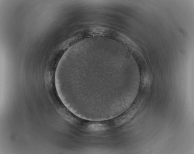 X0000112830759200910021222