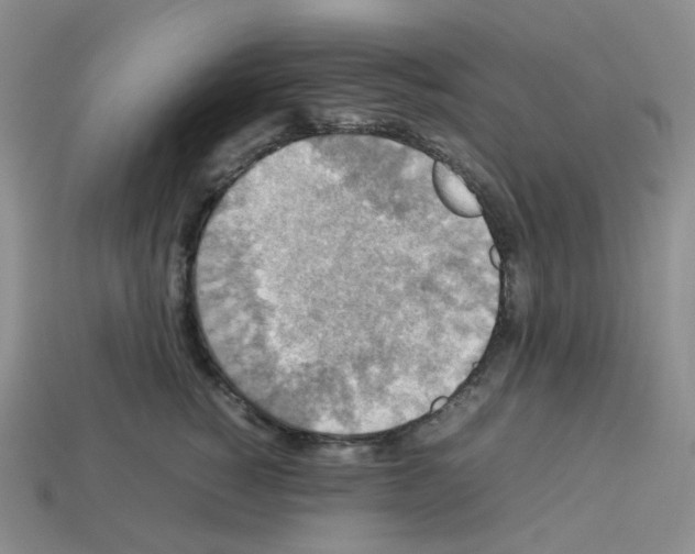 X0000112830760200910021222