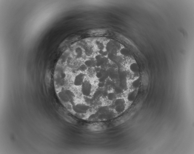 X0000112830761200910021222