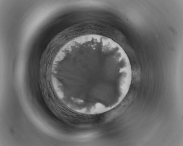 X0000112830765200910021222