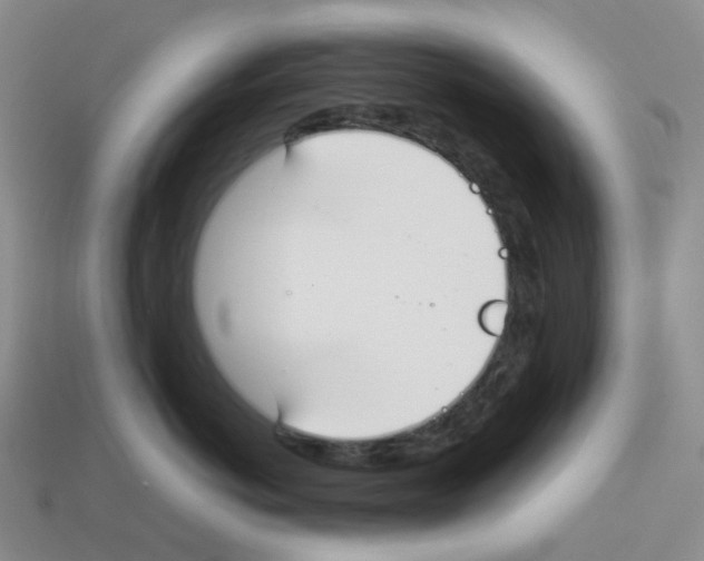 X0000112830766200910021222