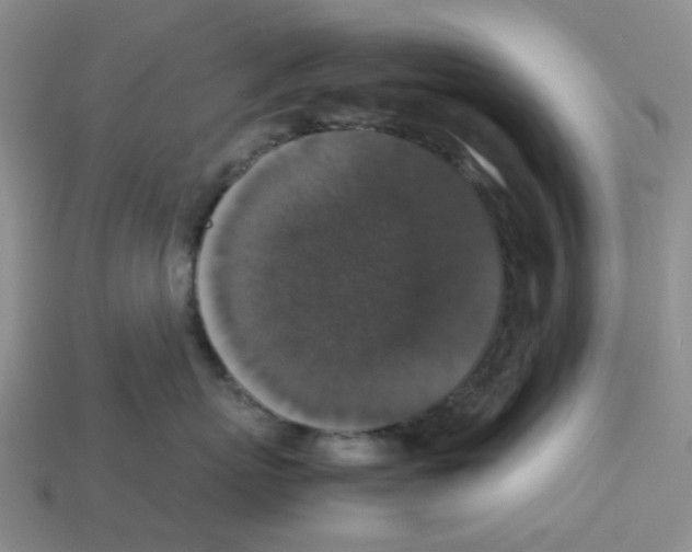 X0000112830767200910021222