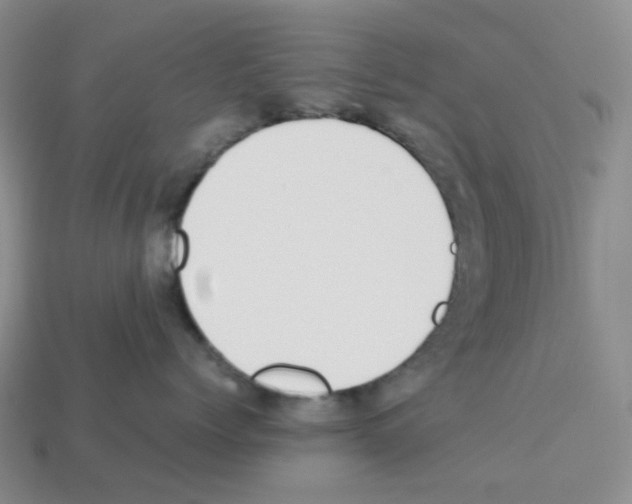 X0000112830768200910021222