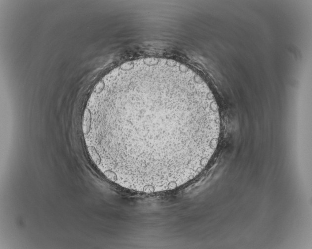 X0000112830769200910021222