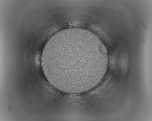 X0000112830770200910021222