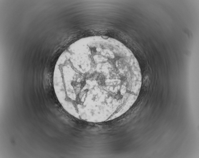 X0000112830772200910021222