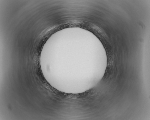 X0000112830773200910021222