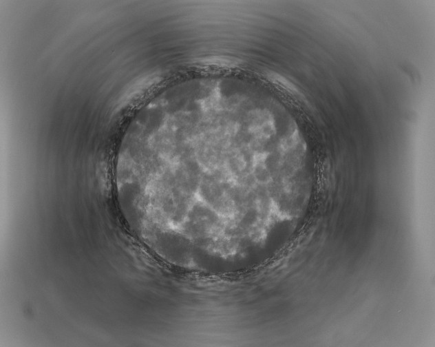 X0000112830774200910021222