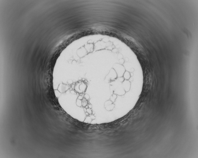 X0000112830776200910021222