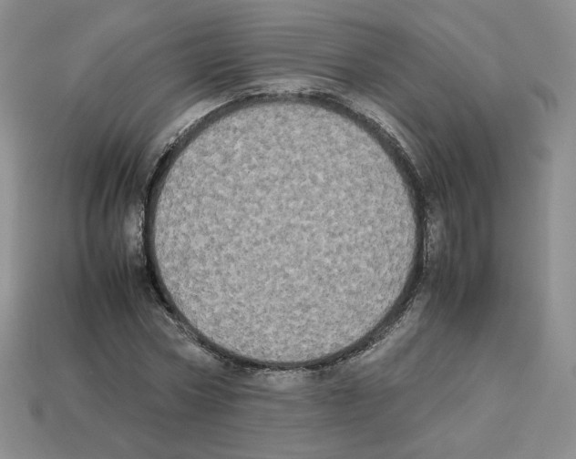 X0000112830778200910021221