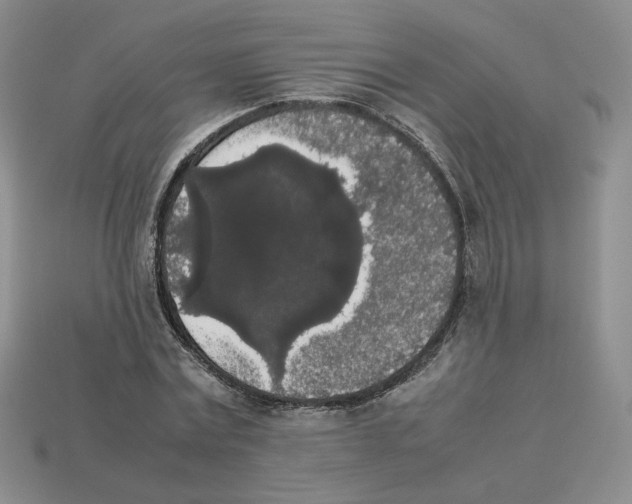 X0000112830779200910021221