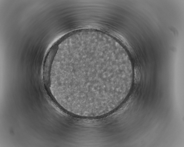 X0000112830780200910021221