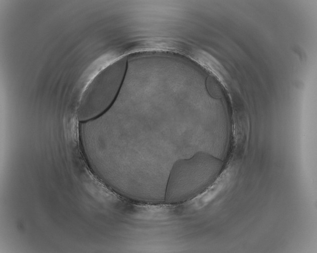 X0000112830781200910021221