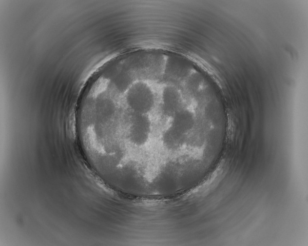 X0000112830782200910021221