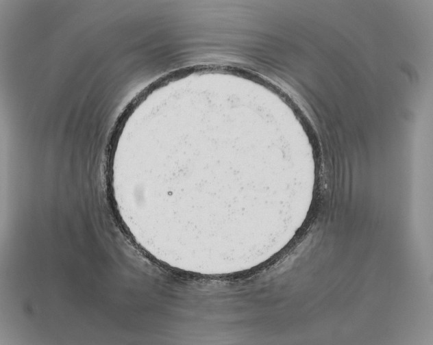 X0000112830783200910021221