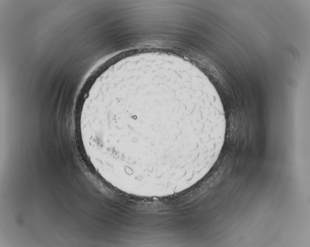 X0000112830784200910021221