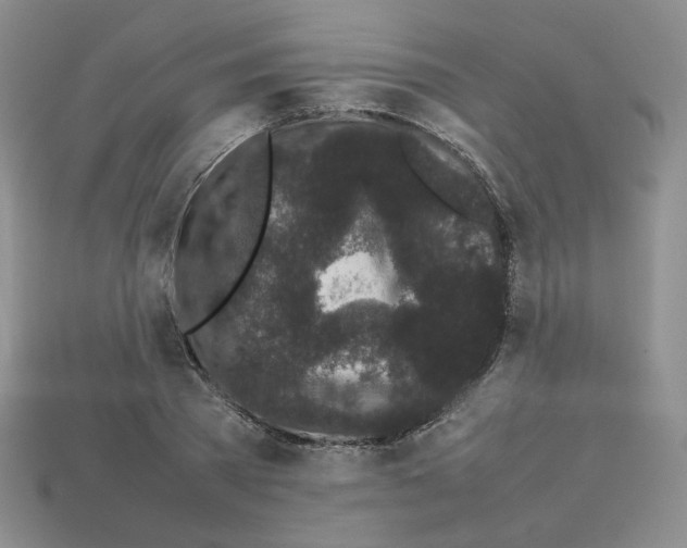 X0000112830785200910021221