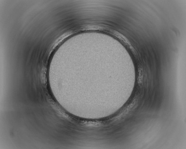 X0000112830786200910021221