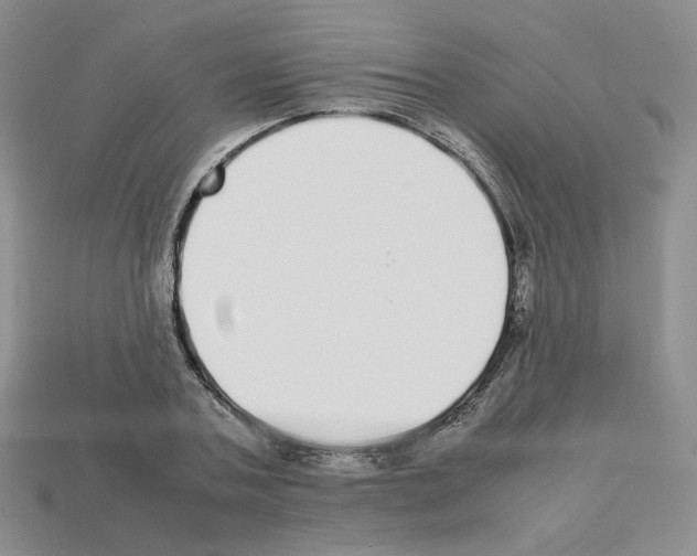 X0000112830787200910021221