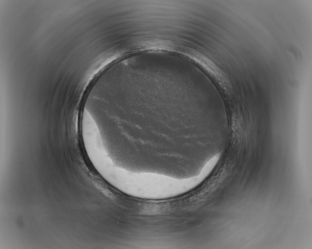 X0000112830790200910021221