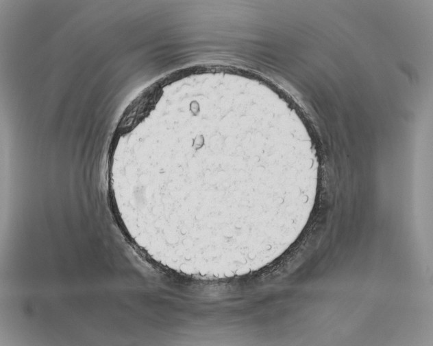 X0000112830791200910021221