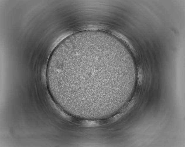 X0000112830794200910021221