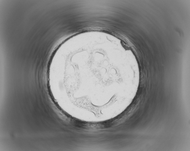 X0000112830795200910021221