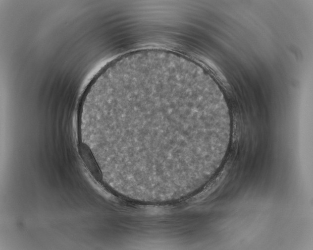 X0000112830796200910021221