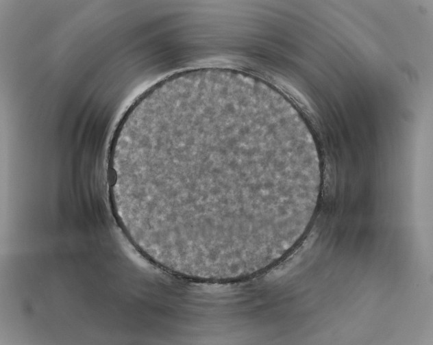 X0000112830800200910021221