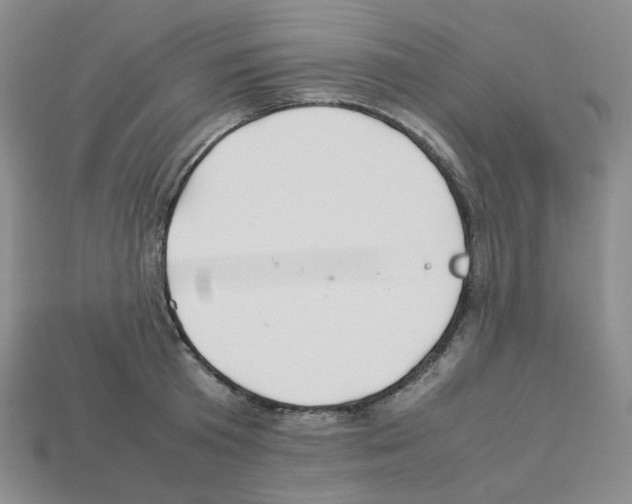 X0000112830801200910021221