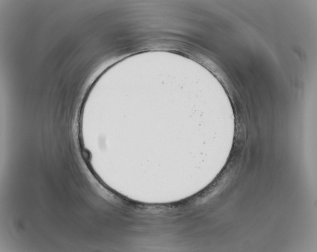 X0000112830803200910021221