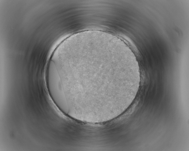 X0000112830804200910021221