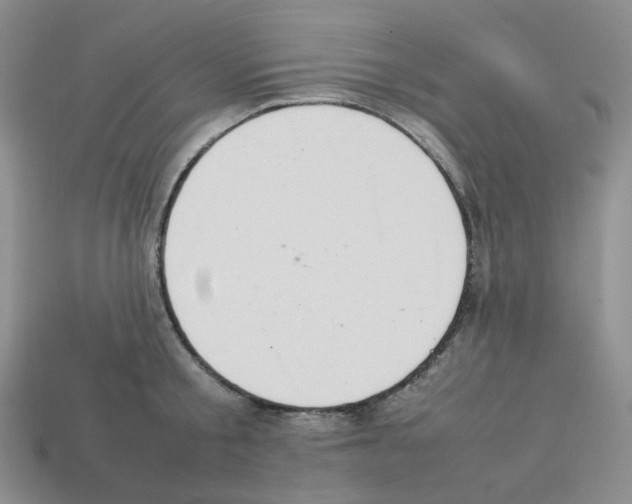 X0000112830805200910021221